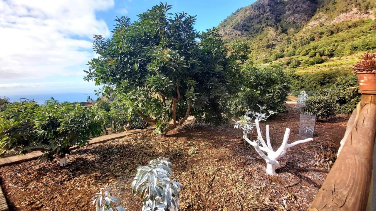 Casa Rural La Resbala - Casa Tajinaste La Orotava Eksteriør billede